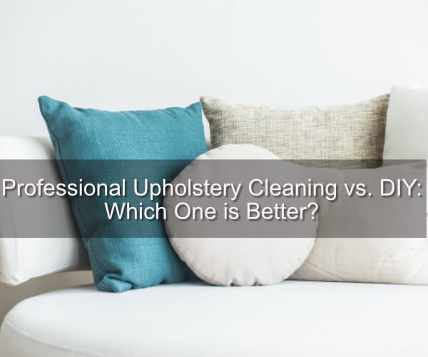 Professional Upholstery Cleaning vs. DIY: Which One is Better?