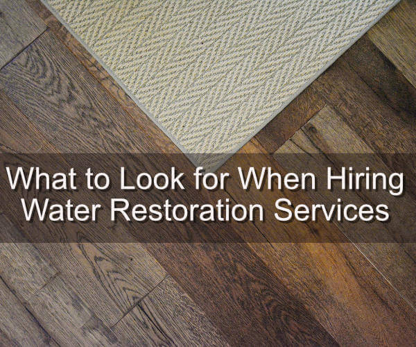 What to Look for When Hiring Water Restoration Services