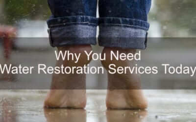 Why You Need Water Restoration Services Today
