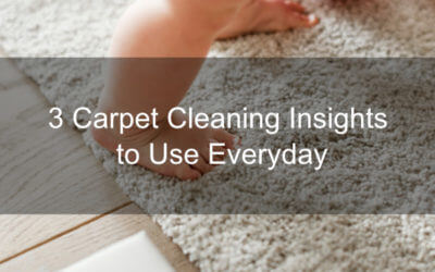 3 Carpet Cleaning Insights to Use Everyday