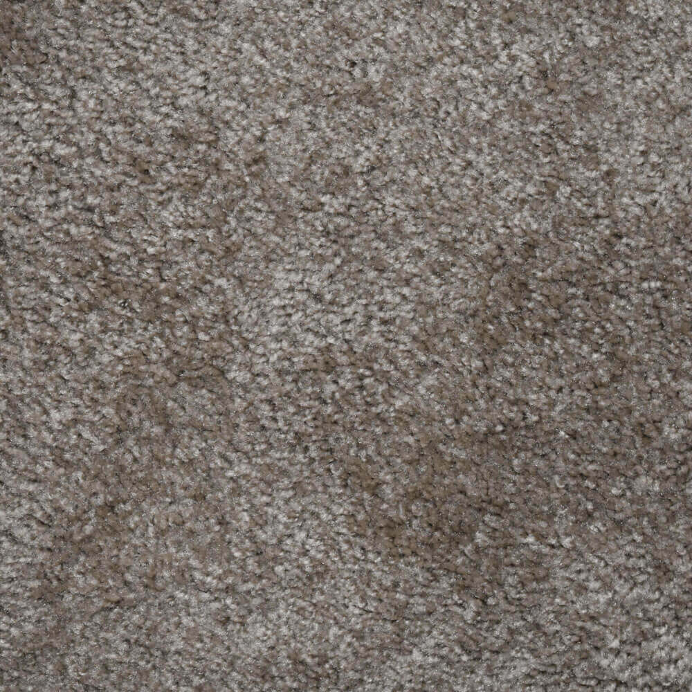 Textured Carpet