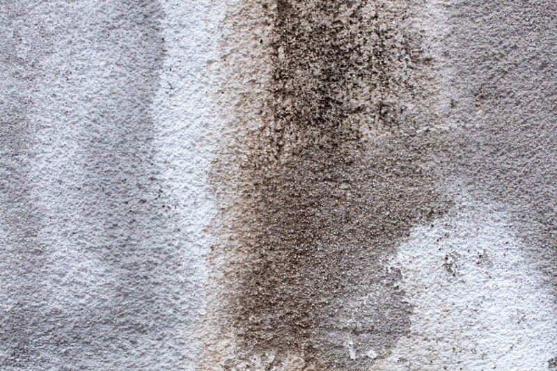 How Humidity Affects Hardwood and Carpet Floors
