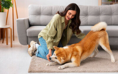 Pet-Friendly Flooring Options That Don’t Sacrifice Style