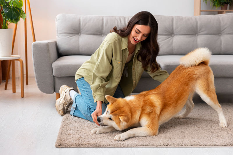 Pet-Friendly Flooring Options That Don’t Sacrifice Style