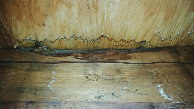 Wood Humidity Damage