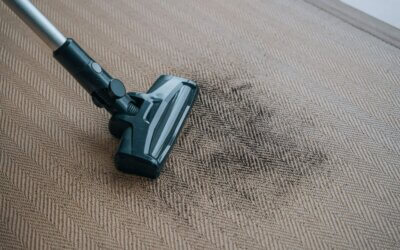 5 Carpet Care Myths To Bust This Fall