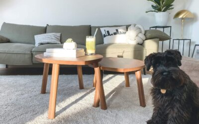 7 Habits That Will Help Your Carpet Last Longer